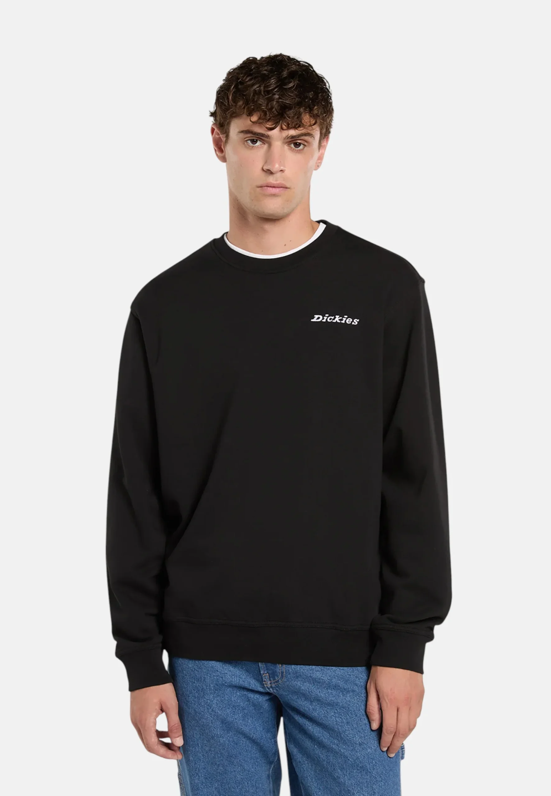 Felpa Uomo Dickies - immagine 9