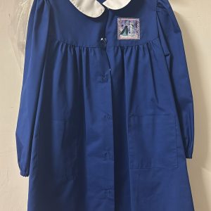 Grembiule scuola elementare blu Frozen