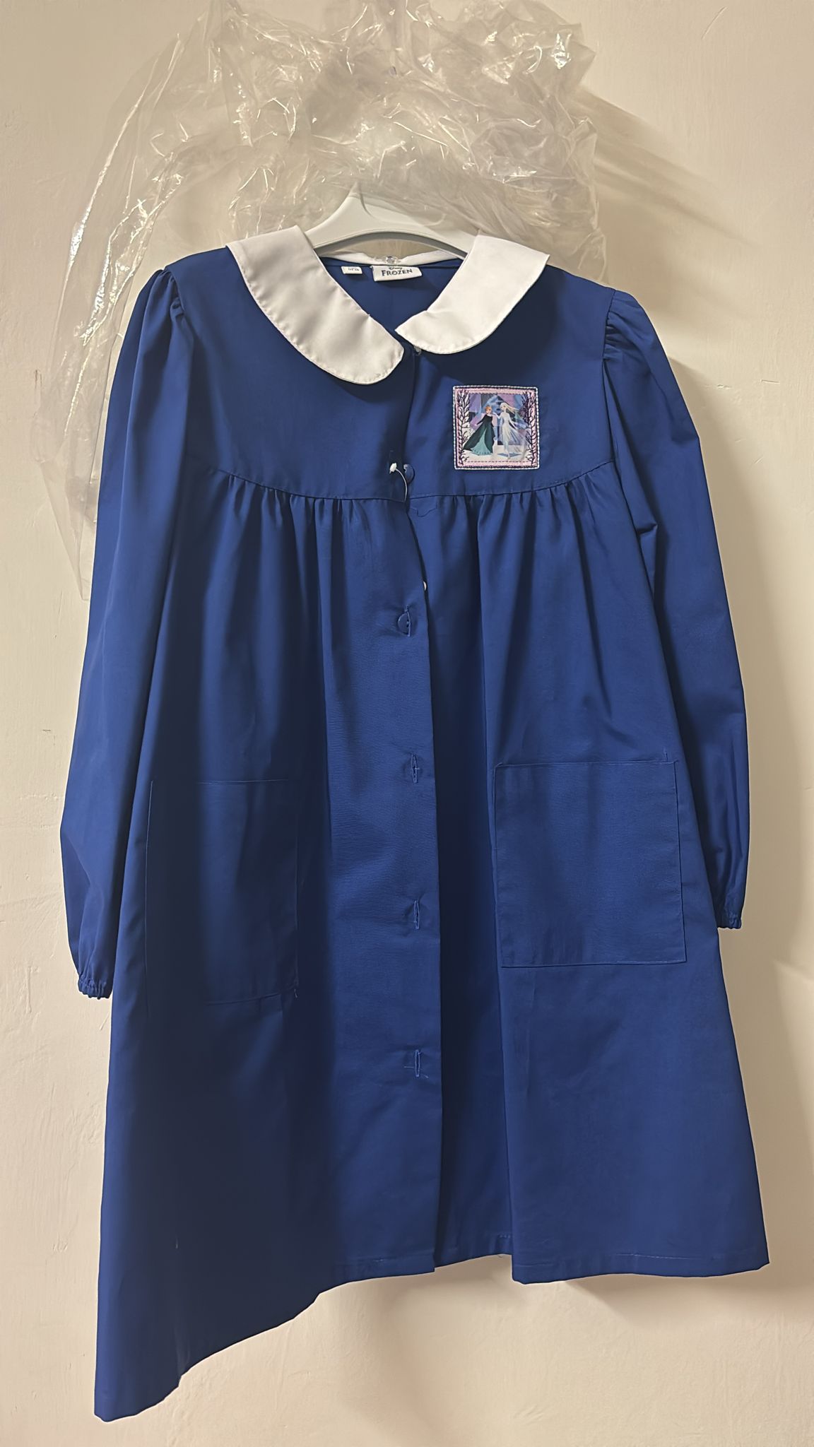 Grembiule scuola elementare blu Frozen