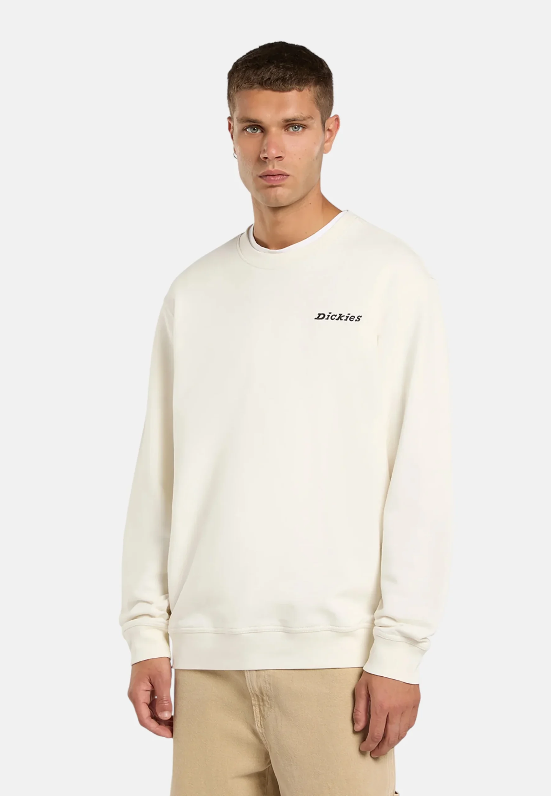 Felpa Uomo Dickies - immagine 4